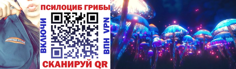 Галлюциногенные грибы Psilocybine cubensis  Купить закладки  Красный Сулин 